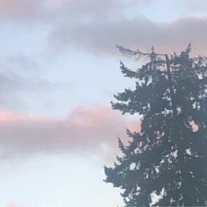 Meet your Posher, Diego